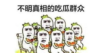 吃瓜群众小白,揭秘娱乐圈背后的那些事儿